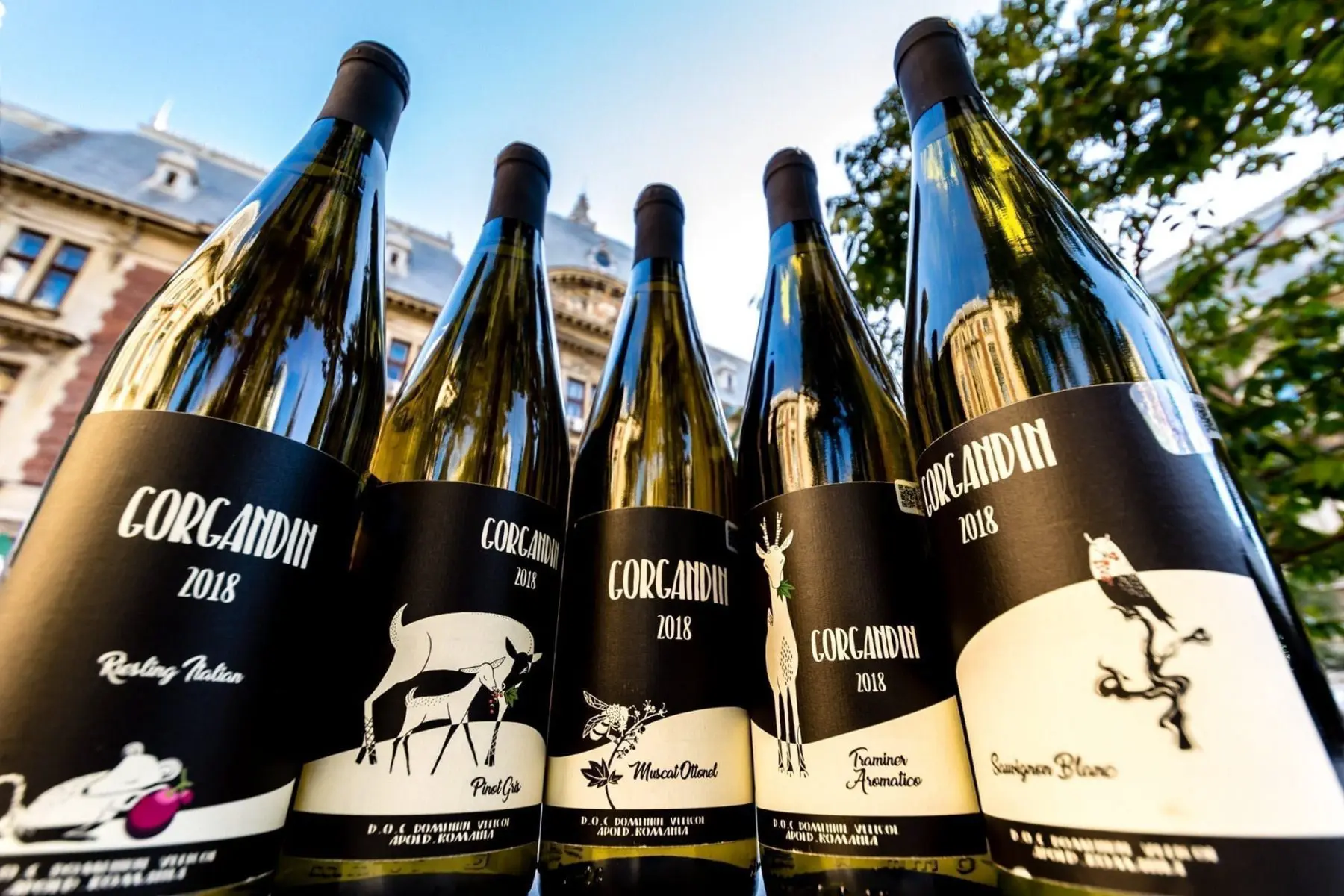 Vinuri must-try în Transilvania: Top 5 soiuri de savurat